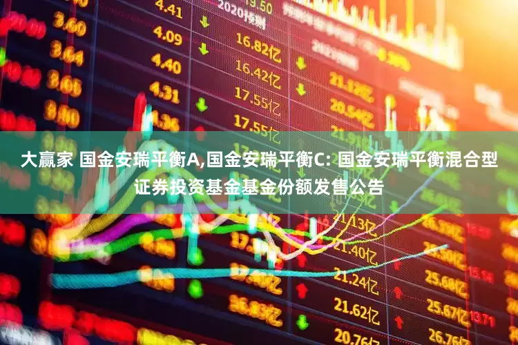 大赢家 国金安瑞平衡A,国金安瑞平衡C: 国金安瑞平衡混合型证券投资基金基金份额发售公告