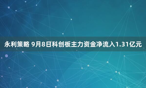 永利策略 9月8日科创板主力资金净流入1.31亿元