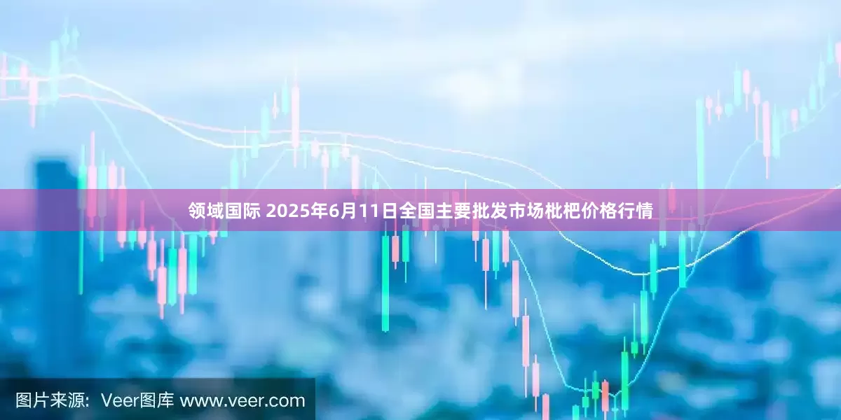 领域国际 2025年6月11日全国主要批发市场枇杷价格行情