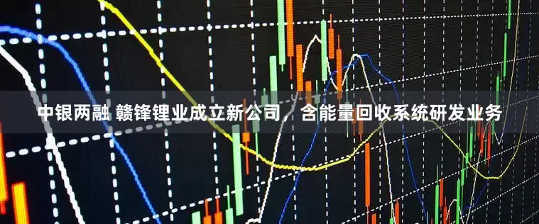 中银两融 赣锋锂业成立新公司，含能量回收系统研发业务